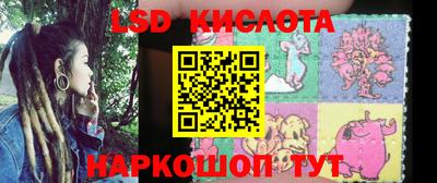 сатива Славгород