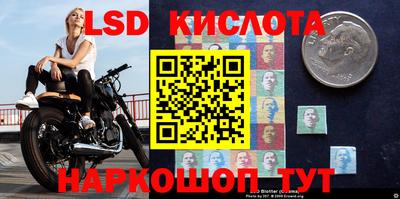 бошки Славянск-на-Кубани