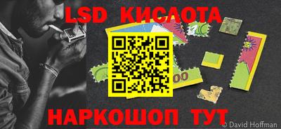 сатива Славгород