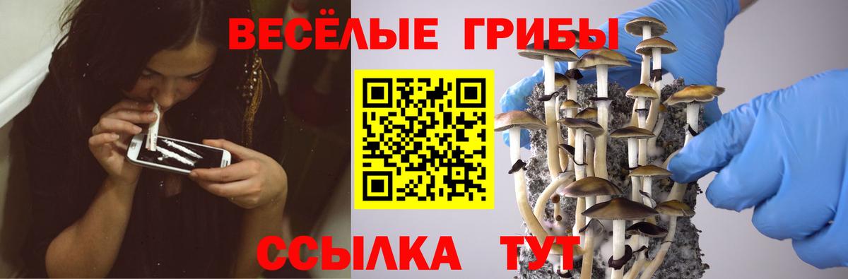 Петропавловск-Камчатский  Галлюциногенные грибы мухоморы  Вход с VPN 